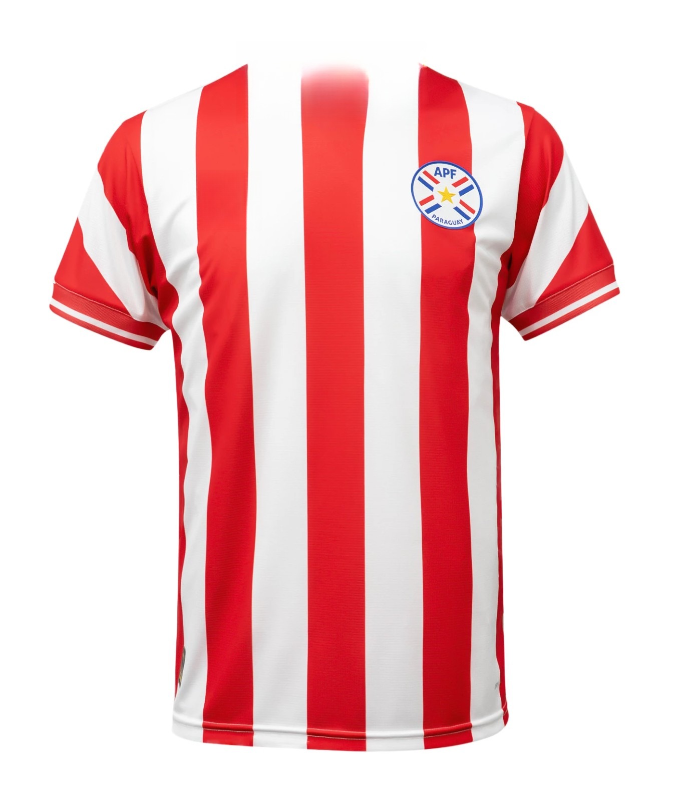 Camiseta Paraguay - 1ª Equipación